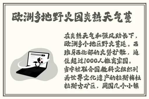 国产精品亚洲日韩AⅤ在观看